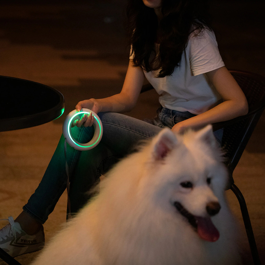 Hands Free Retractable Leash