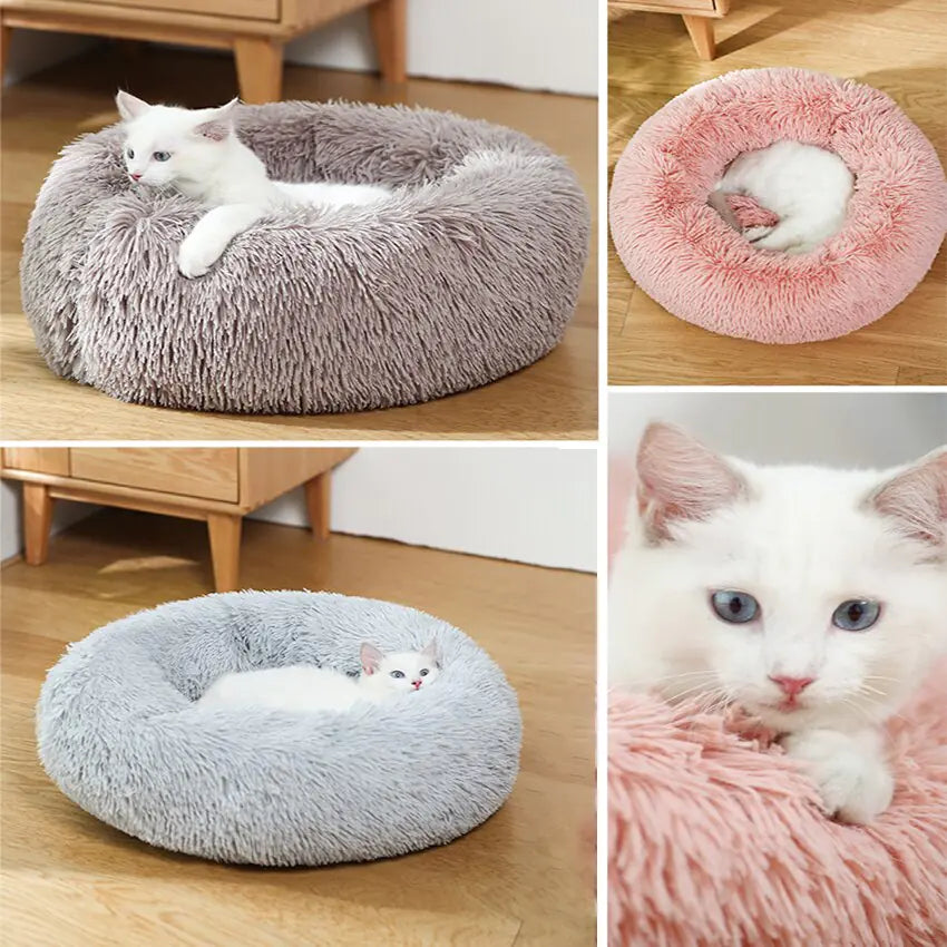 Calming Dog Bed