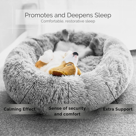 Calming Dog Bed