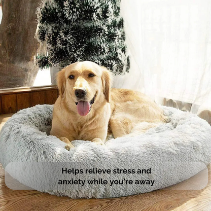 Calming Dog Bed