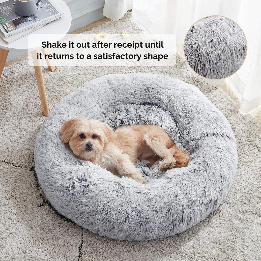 Calming Dog Bed