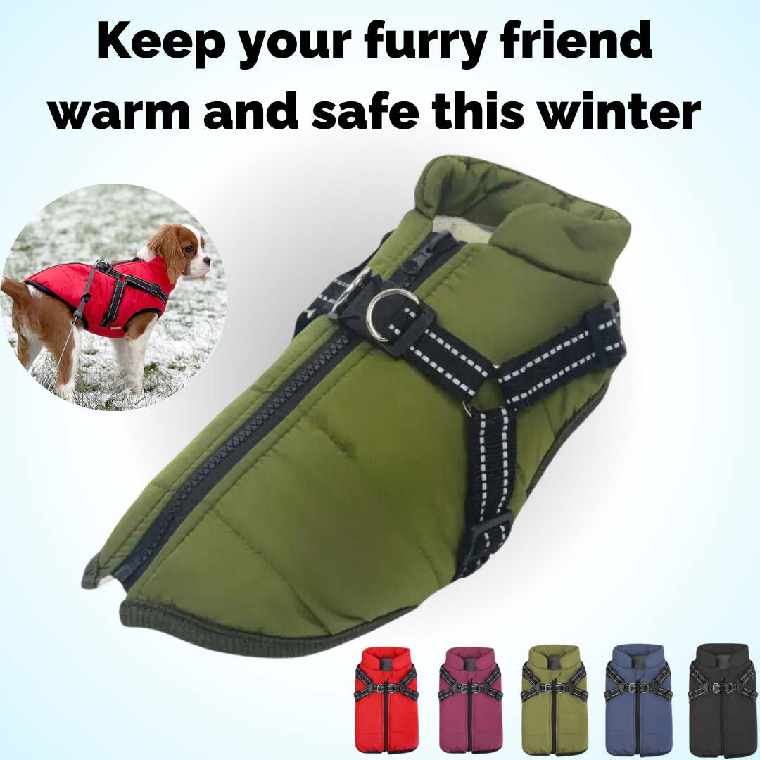 Vet Recommended Dog Jacket