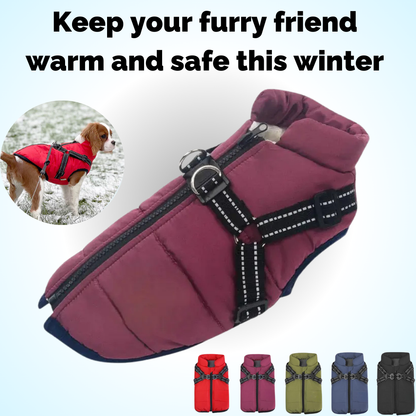 Vet Recommended Dog Jacket