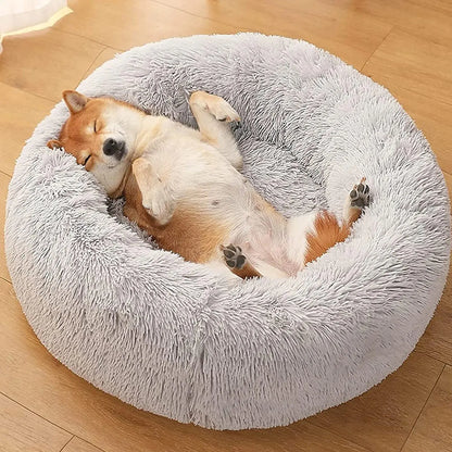 Calming Dog Bed